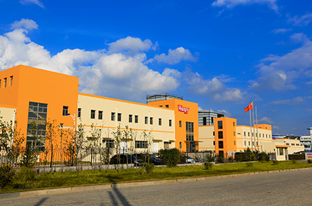 ɭ��������-׷�󿵽�,����һ������