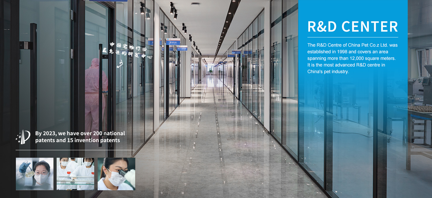 ɭ��������-׷�󿵽�,����һ������