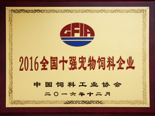 ɭ��������-׷�󿵽�,����һ������