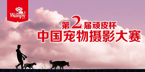 ɭ��������-׷�󿵽�,����һ������