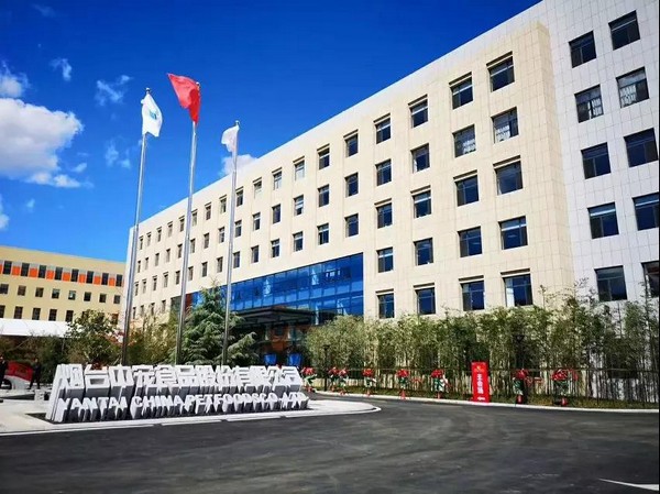 ɭ��������-׷�󿵽�,����һ������