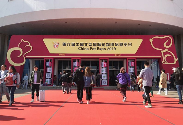 ɭ��������-׷�󿵽�,����һ������