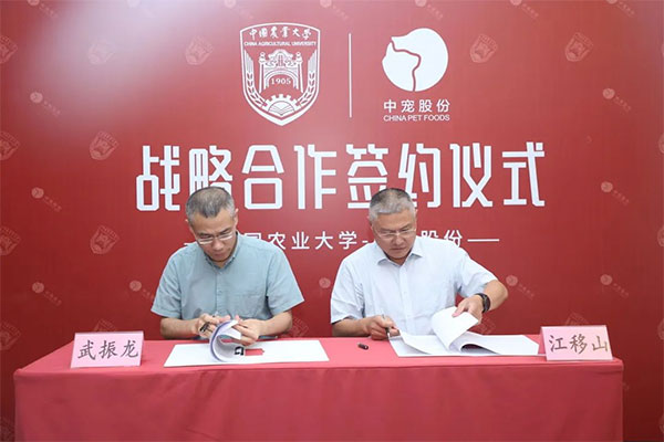 ɭ��������-׷�󿵽�,����һ������