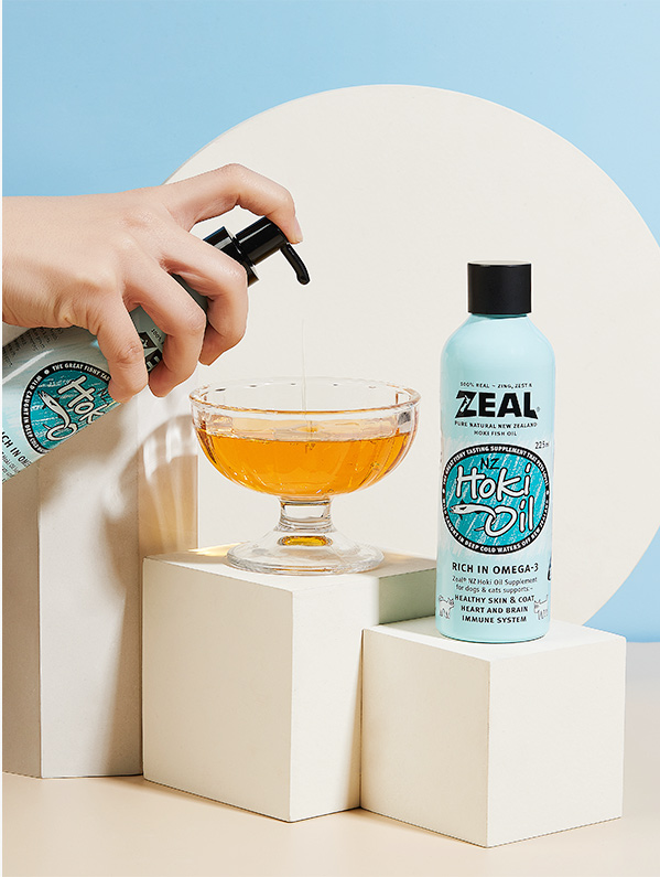 ɭ��������-׷�󿵽�,����һ������