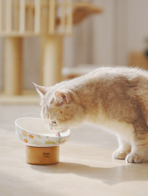 ɭ��������-׷�󿵽�,����һ������