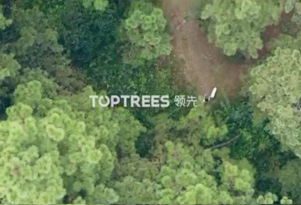 ɭ��������-׷�󿵽�,����һ������