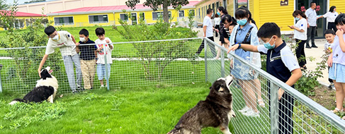 ɭ��������-׷�󿵽�,����һ������