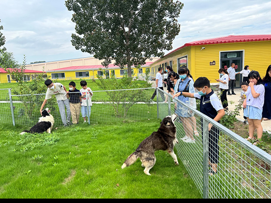 ɭ��������-׷�󿵽�,����һ������