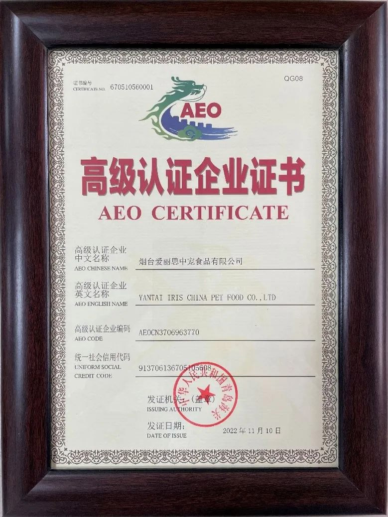 ɭ��������-׷�󿵽�,����һ������