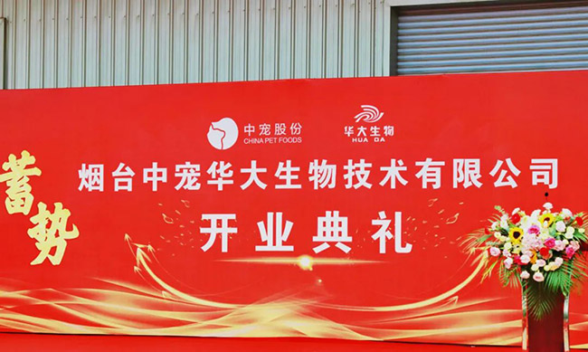 ɭ��������-׷�󿵽�,����һ������