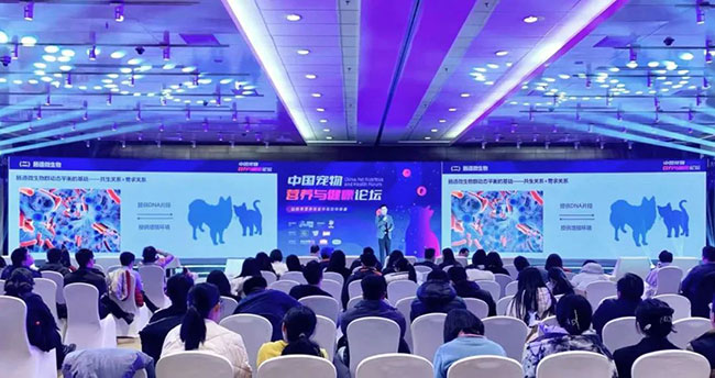 ɭ��������-׷�󿵽�,����һ������