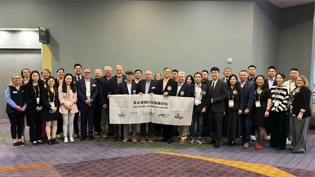 ɭ��������-׷�󿵽�,����һ������