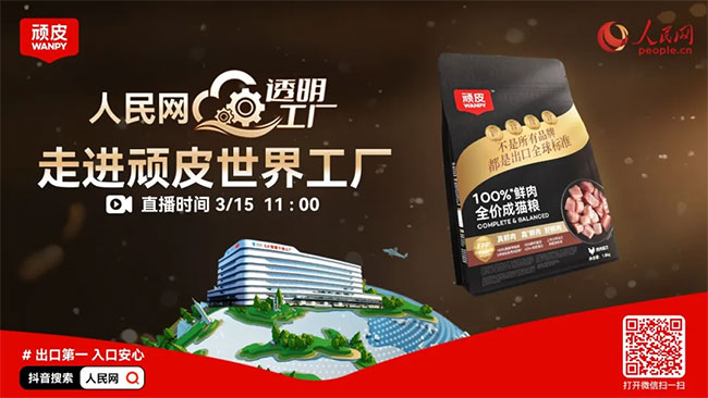 ɭ��������-׷�󿵽�,����һ������